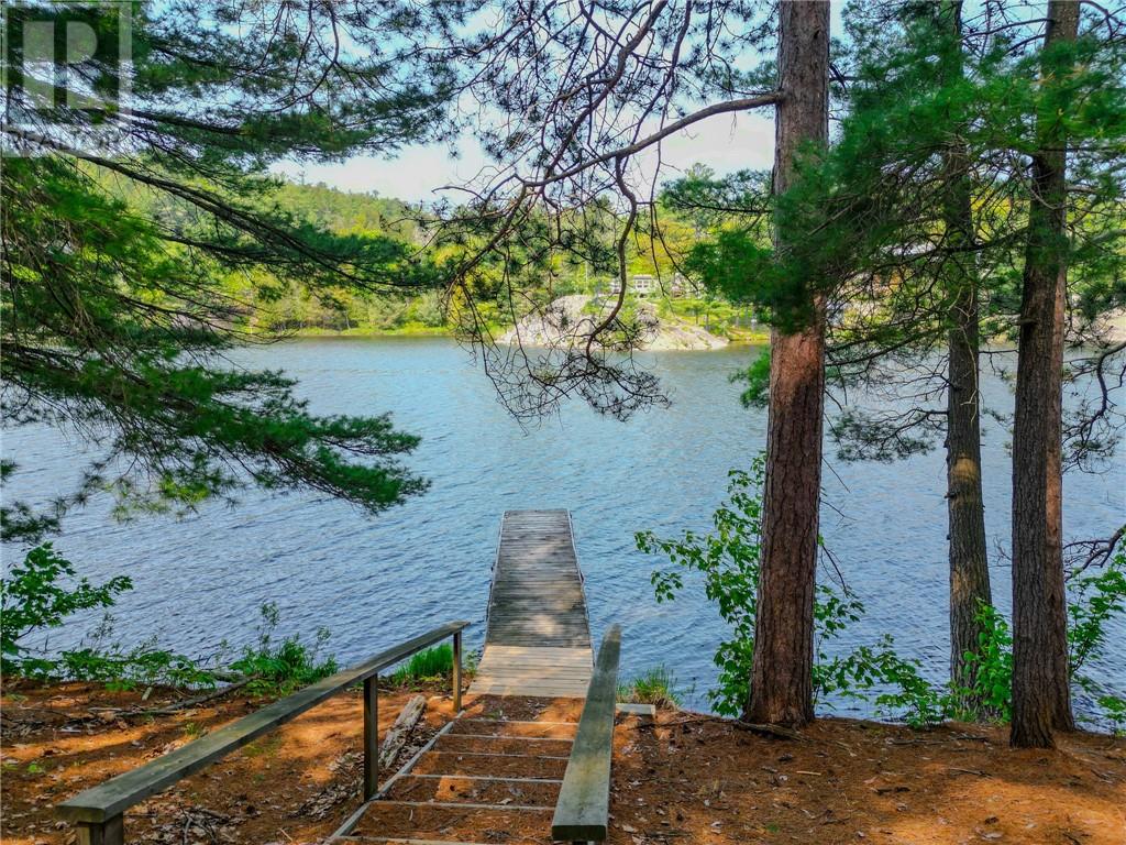 Dock reached through the mature waterfront trees