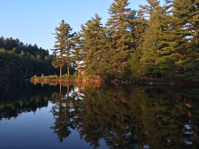 Dock through trees