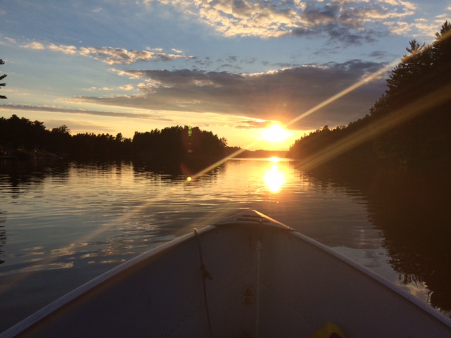 Quiet wooded lake view